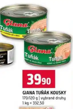 Terno GIANA TUŇÁK KOUSKY 170/120 g vybrané druhy nabídka