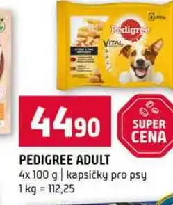 Terno PEDIGREE ADULT 4x 100 g kapsičky pro psy nabídka