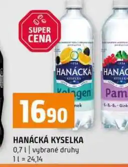 Terno HANÁCKÁ KYSELKA 0,7l vybrané druhy nabídka