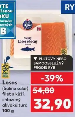 Kaufland Losos (Salmo salar) filet s kůží, chlazený akvakultura 100 g nabídka