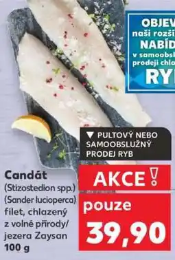 Kaufland Candát – filet nabídka