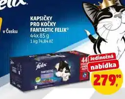 Penny Market KAPSIČKY PRO KOČKY FANTASTIC FELIX nabídka