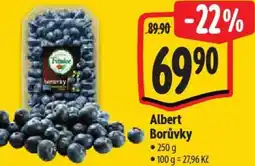 Albert Albert Borůvky nabídka