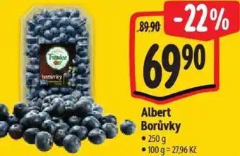 Albert Albert Borůvky nabídka