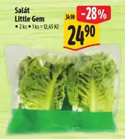 Albert Salát Little Gem nabídka