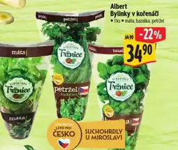 Albert Albert Bylinky v kořenáči nabídka