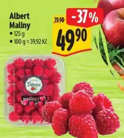 Albert Albert Maliny nabídka