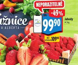 Albert Jahody nabídka