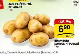 Flop BRAMBORY KONZUMNÍ POZDNÍ nabídka