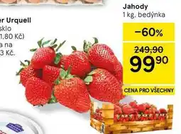 Tesco Jahody, 1 kg, bedýnka nabídka