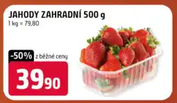 Terno Jahody zahradní 500 g nabídka