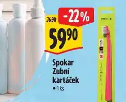 Albert Spokar Zubní kartáček 1ks nabídka