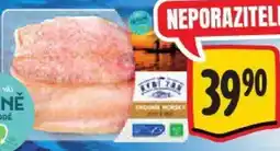 Albert Okouník mořský - filet s kůží nabídka