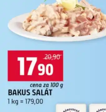 Terno Bakus salát nabídka