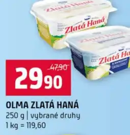 Terno Olma zlatá haná nabídka