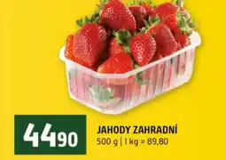 Terno Jahody zahradní nabídka