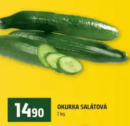 Terno Okurka salátová nabídka