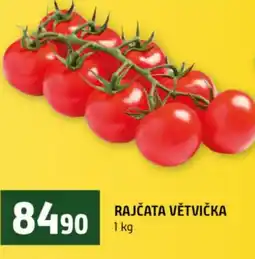 Terno Rajčata větvička nabídka