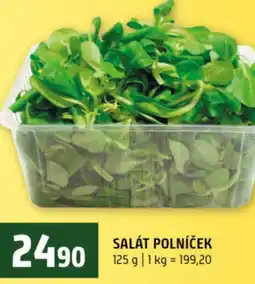 Terno Salát polníček nabídka