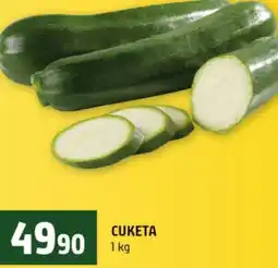 Terno Cuketa nabídka