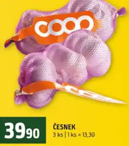 Terno Česnek nabídka