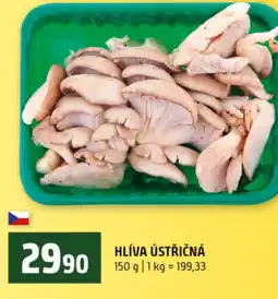 Terno Hlíva ústřičná nabídka