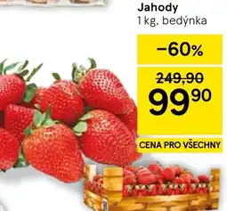 Tesco Jahody nabídka