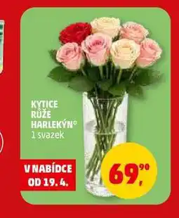 Penny Market KYTICE RŮŽE HARLEKÝN, 1 svazek nabídka