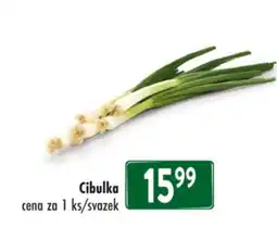 Qanto Cibulka nabídka