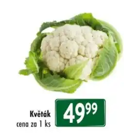 Qanto Květák nabídka