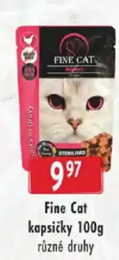 Astur&Qanto Fine Cat kapsičky nabídka