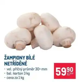 Makro Žampiony bílé netříděné nabídka
