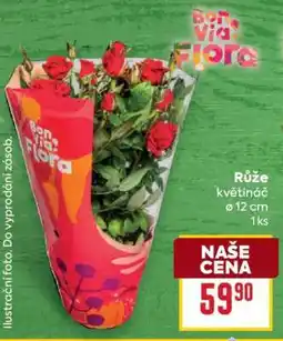 Billa Růže nabídka