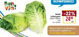Billa Salát Little Gem nabídka