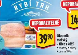 Albert Okouník mořský - filet s kůží nabídka
