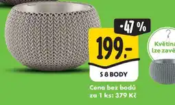 Albert KVĚTINÁČ nabídka