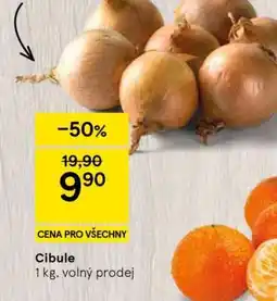 Tesco Cibule nabídka