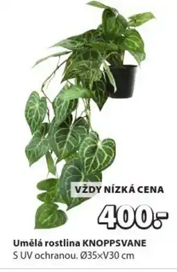 JYSK Umělá rostlina KNOPPSVANE nabídka