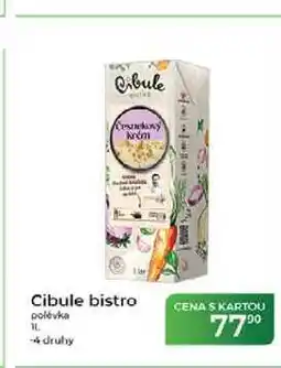Tamda Foods Cibule bistro polévka nabídka