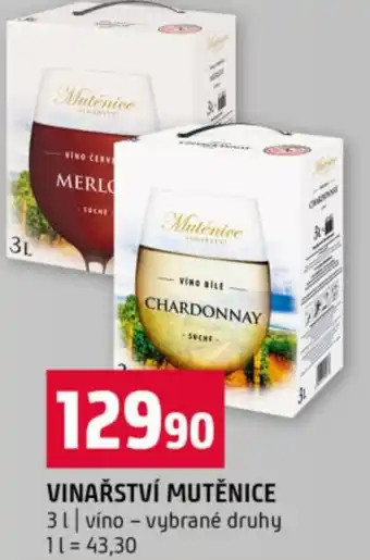 Terno Vinařství mutěnice nabídka