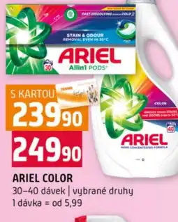 Terno Ariel color nabídka