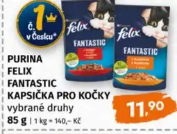Terno Purina felix fantastic kapsička pro kočky nabídka