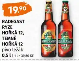Terno Radegast ryze hořká 12, temně hořká 12 pivo ležák nabídka