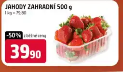 Terno Jahody zahradní nabídka