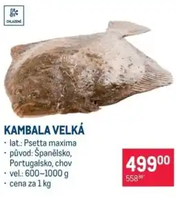 Makro Kambala velká nabídka