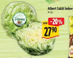 Albert Albert Salát ledový nabídka