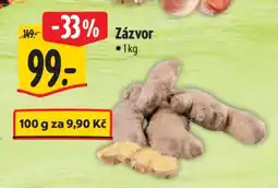 Albert Zázvor nabídka