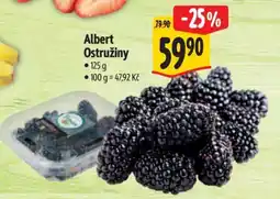 Albert Albert Ostružiny nabídka