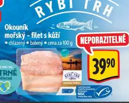 Albert Okouník mořský - filet s kůží nabídka