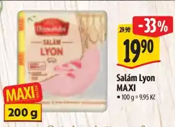 Albert Salám Lyon MAXI nabídka